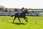 300926-Race 1-Bladey Lady-5849