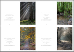 4 Seasons Portrait No.2
