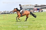BPP_8868