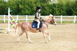 SBM_006350