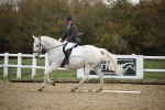 SBM_001546