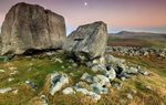 The Hurlers