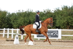 SBM_007532