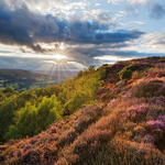 Millstone Edge