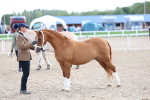 SBM_18758