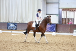 SBM_000210