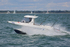 160731 COLENE - QUICKSILVER Y92A8867_Edit