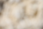 20260802-0709