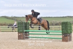BPP_0536