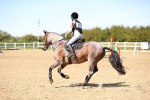 SBM_002696