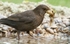 20110429-IMG_5158-400