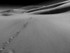 Namibia Swapokmund dune 7 and figure bw