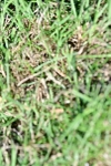 SBM_19557