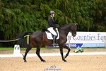 212-CALCOURT.BOLT-John.Westmore-DR portfolio
