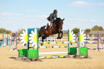 SBM_007658