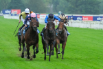 080925-Race 5-Elmonjed-9413