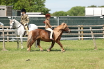 SBM_05328