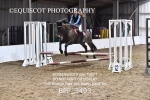BPP_3493