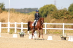 SBM_018312