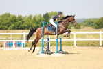 SBM_000408