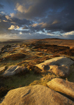 Light on the Tor