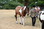 WJ6_7946
