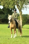 S63 - Other Coloured Horse Ridden portfolio