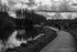 Lagan Meadows