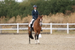 SBM_015050