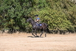 WJ6_6778
