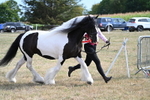WJ7_8121