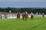 160724-Race 5-Believitanducan-9202