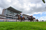Race 2 2.25pm Al Basti Equiworld Dubai Criterion Stakes portfolio
