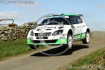 HAMILTONS FOLLY 7