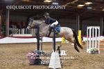 CLASS 4 0.95m Amateur Championship Qualifier portfolio
