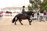SBM_16431