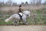 SBM_007193