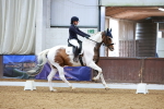 SBM_003563
