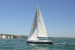 160719 LUPO DI MARE Y92A6512