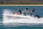 170813 FLIPPER - ELEMENT  1Y3A3384