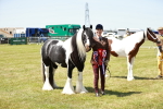 SBM_05530