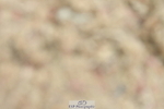 230630A-122818-01867