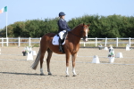 SBM_020211