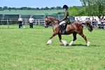 SBM_07945