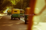 Delhi 3