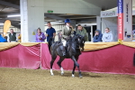 SBM_15699