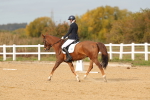 SBM_010498
