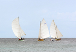 DSC_0558