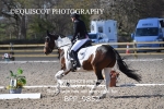 BPP_9852