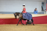 SBM_14791